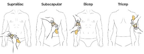 measure skin thickness from webcam|skinfold thickness calculator.